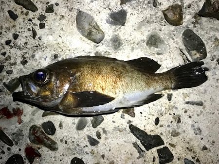 フロートメバリング