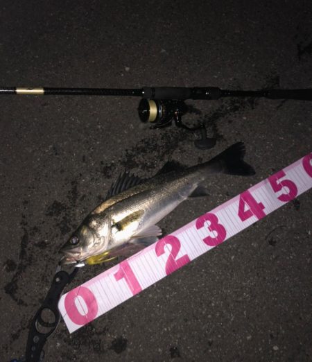 今日はモアザンでした。