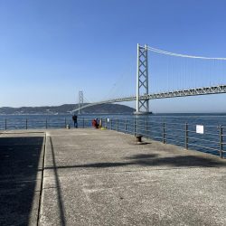 花見カレイ不発