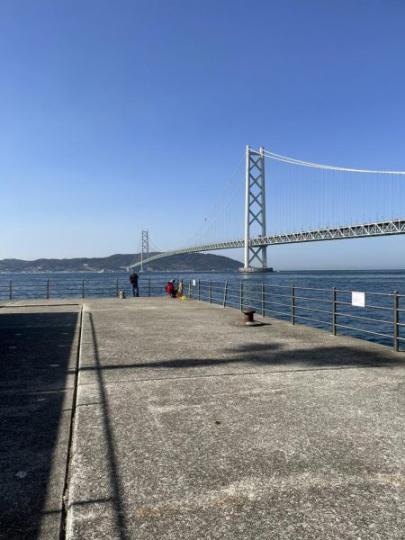 花見カレイ不発