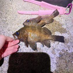 満潮の潮が緩やかになった時