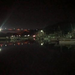 メバリングタックル入魂式