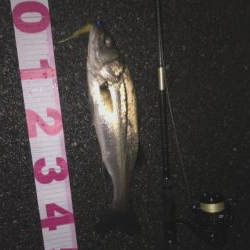 チーバスでした