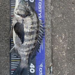 イチノ兄弟、釣果!