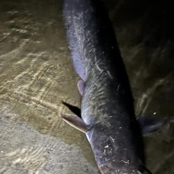 コイツは裏切らない！！