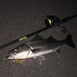 ががっときました。