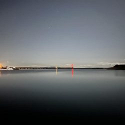 今年初のシーバス（小）