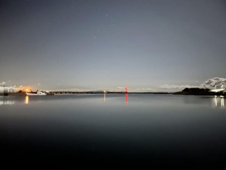 今年初のシーバス（小）