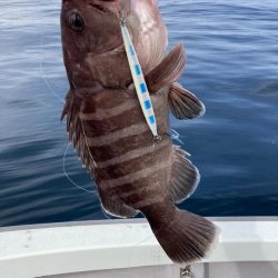 苦しい中での1匹！