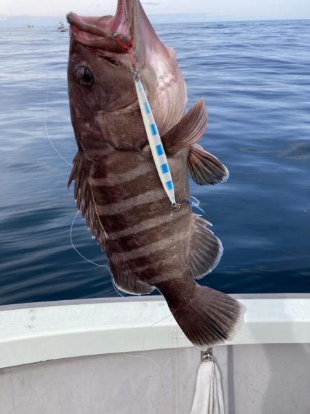 苦しい中での1匹！