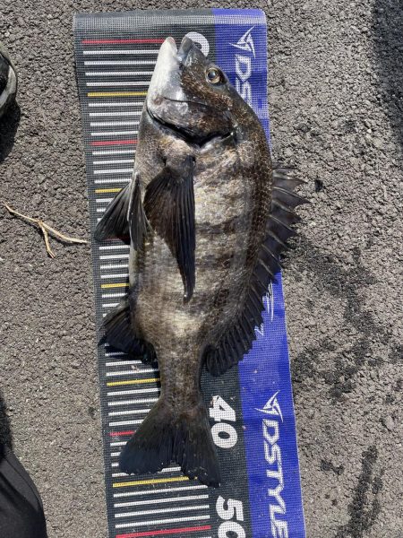 イチノ兄弟、釣果！