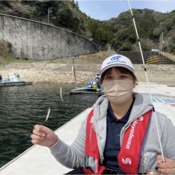 【竜門ダム(班蛇口湖)】ワカサギ釣り終盤 サイトでも釣れ79匹手中