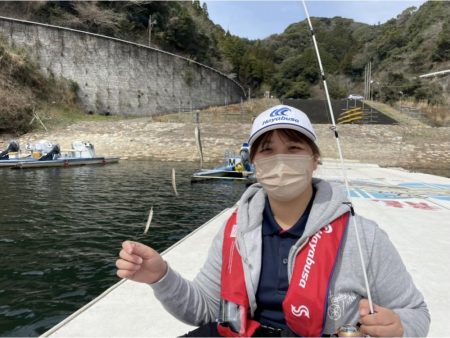 【竜門ダム(班蛇口湖)】ワカサギ釣り終盤 サイトでも釣れ79匹手中