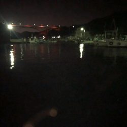 メバルの注文承りました。