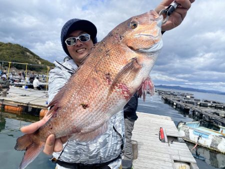 大鯛！サクラマス！