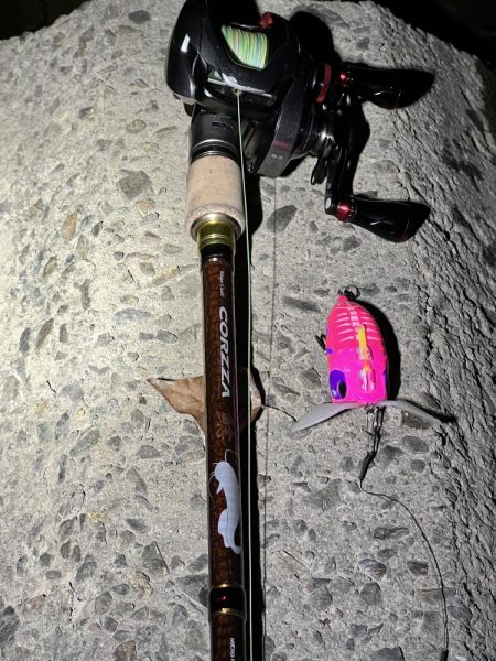 2022年ナマズ 始まりました！！