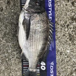 イチノ兄弟、釣果!