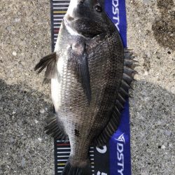 イチノ兄弟、釣果！