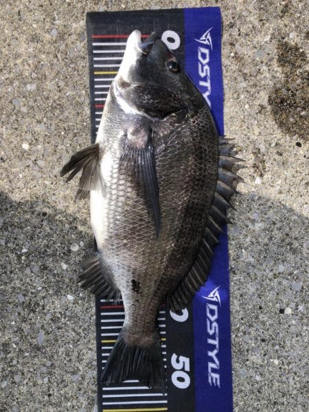 イチノ兄弟、釣果！