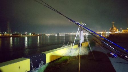 小ぶりのアナゴ