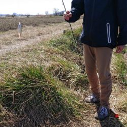 ホンモロコ釣り