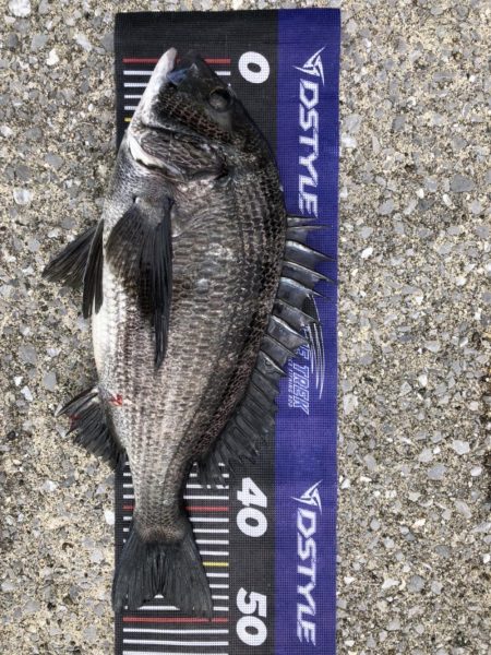 題名連日年無し❗࿠…