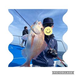 七里でタイラバで鯛ゲット