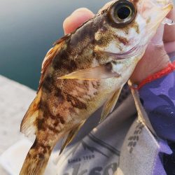 このエリアは私が投稿します☆