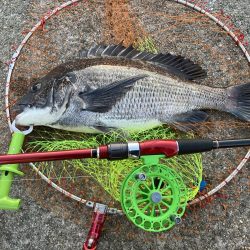 モーニングサービス