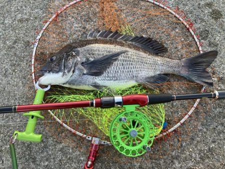 モーニングサービス