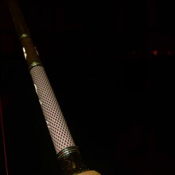 ラストヤリイカ