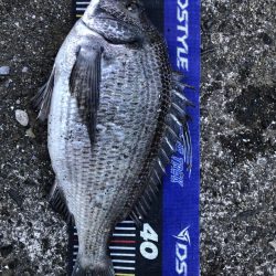 イチノ兄弟、釣果!