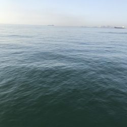 マイクロパターン