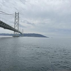 フグとテンコチの猛攻