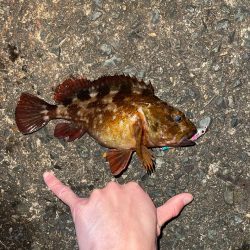 ダイソーシンペン縛り