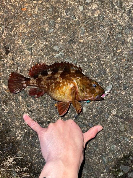 ダイソーシンペン縛り