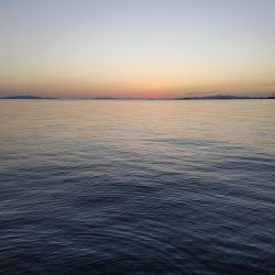 メバリングでのガシラ