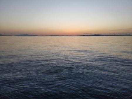 メバリングでのガシラ