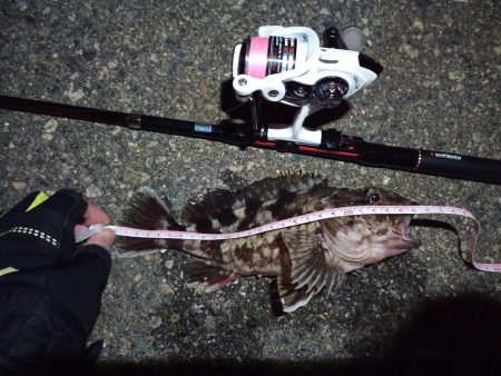 2022/03/03 南港ライトゲーム釣行…