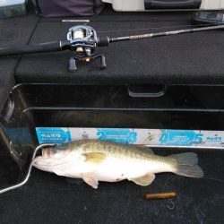 北山田連日の50オーバー