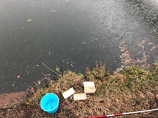 大同川コアユ釣れてます