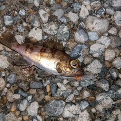 ほんの少しだけ