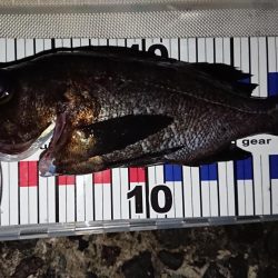 チャンスは一回!