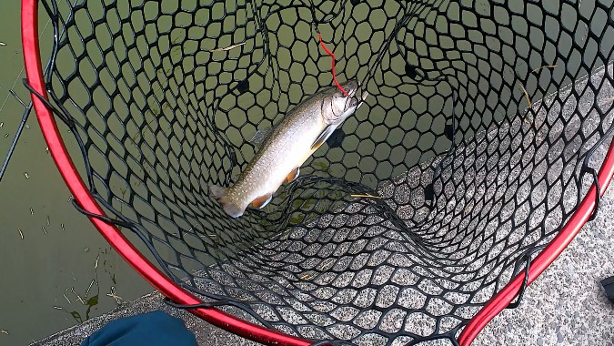 なんだかんだフィッシャーリゾート庄原