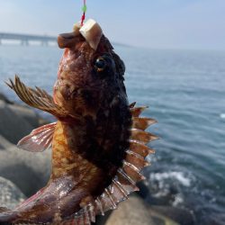 厳しい穴釣り#9