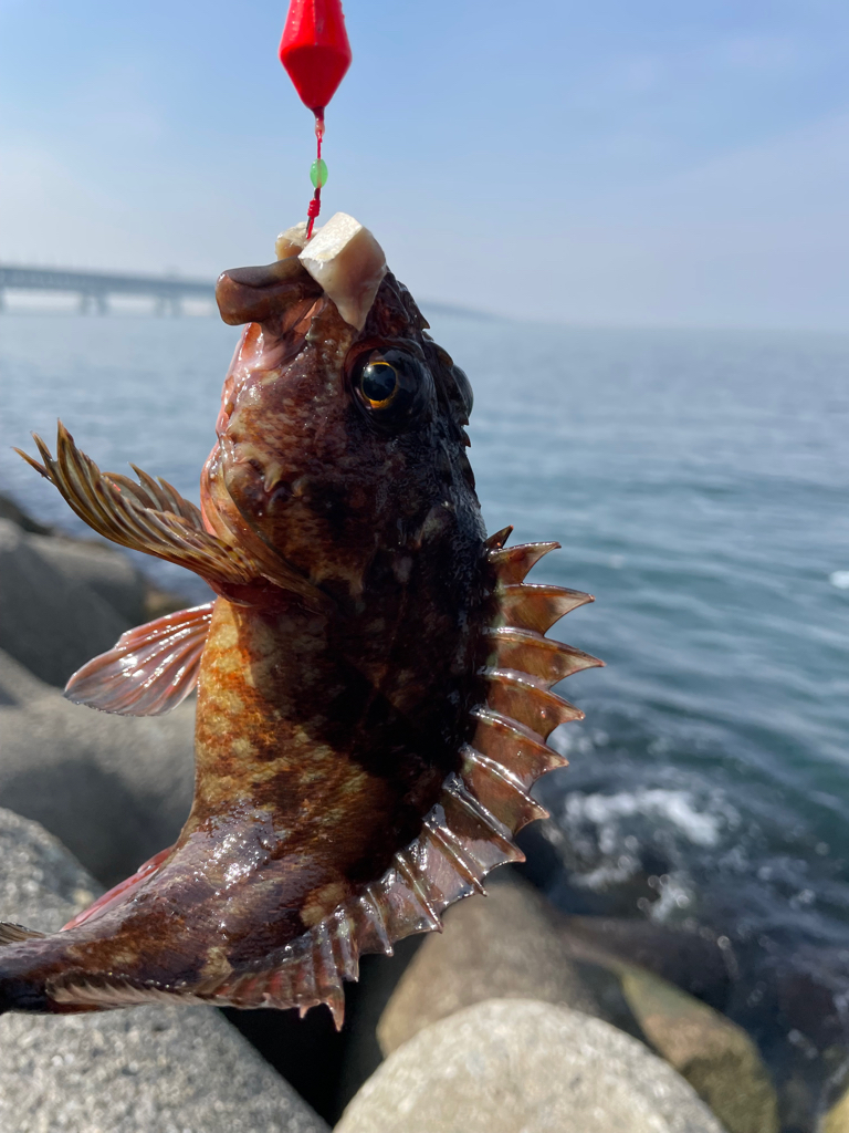 厳しい穴釣り#9