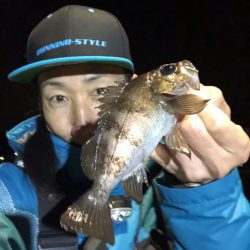 坊勢島の調査(  ‘-‘ )