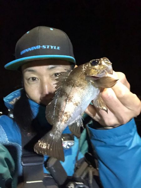 坊勢島の調査(  '-'…