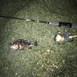 散歩フィッシング