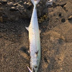 天草苓北町のサーフ